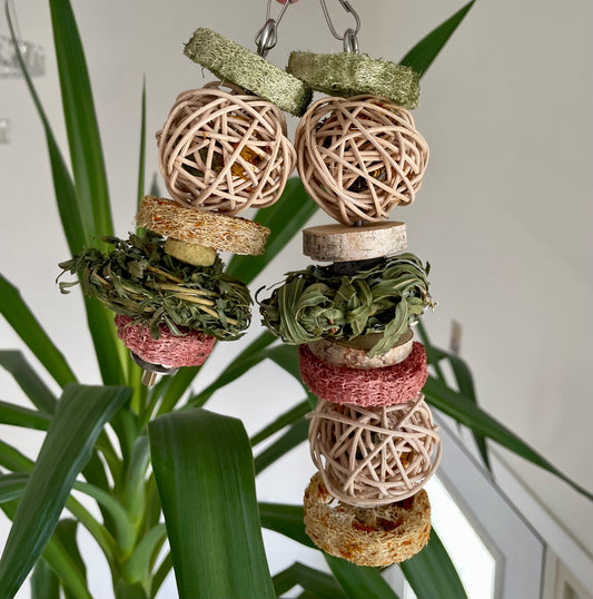 The exquisite spring