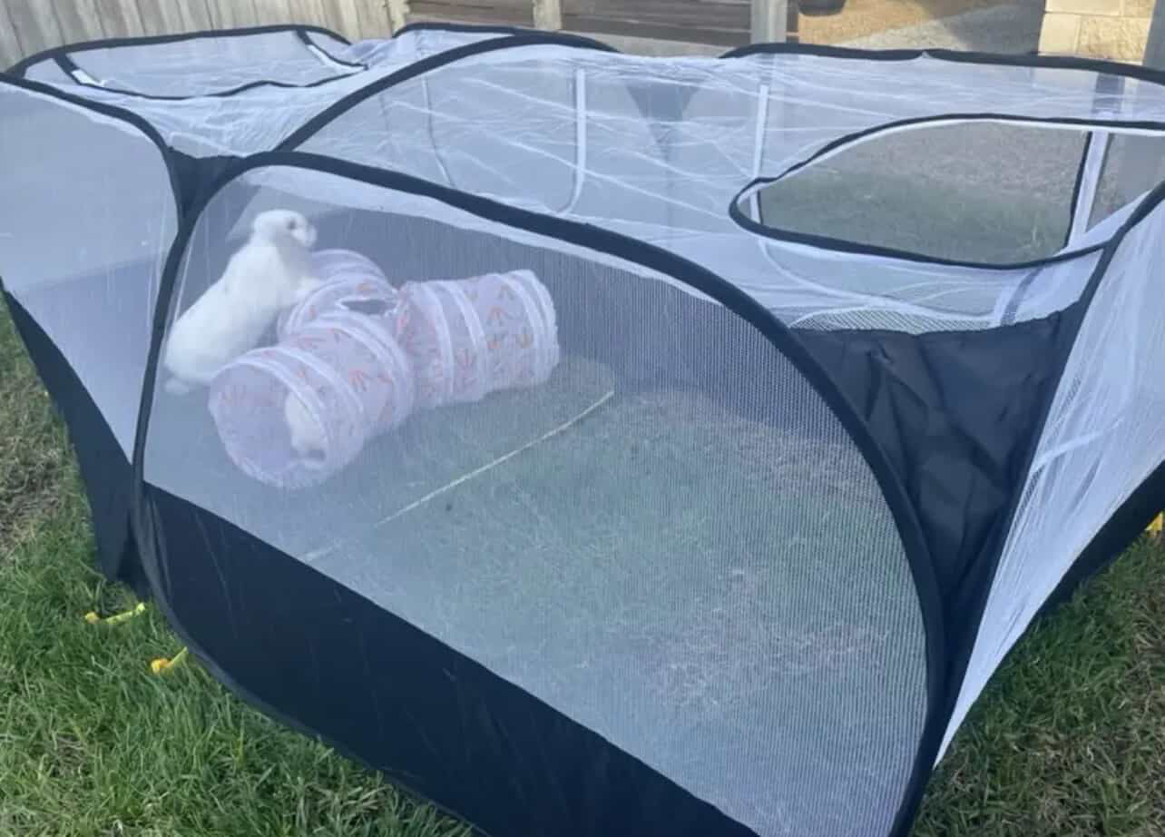 Enclos extérieur de luxe pour lapin