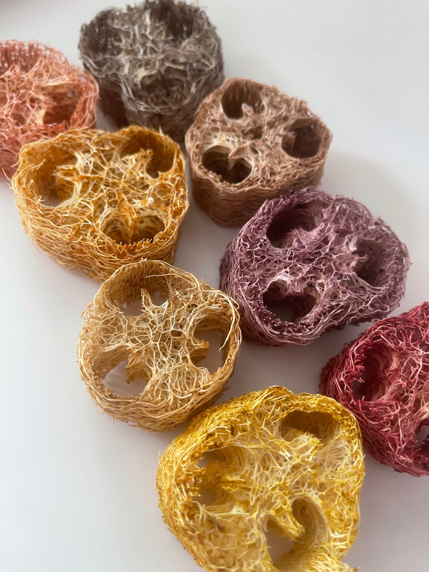 GIANT Loofahs infused with natural fruits, vegetables, and flowers