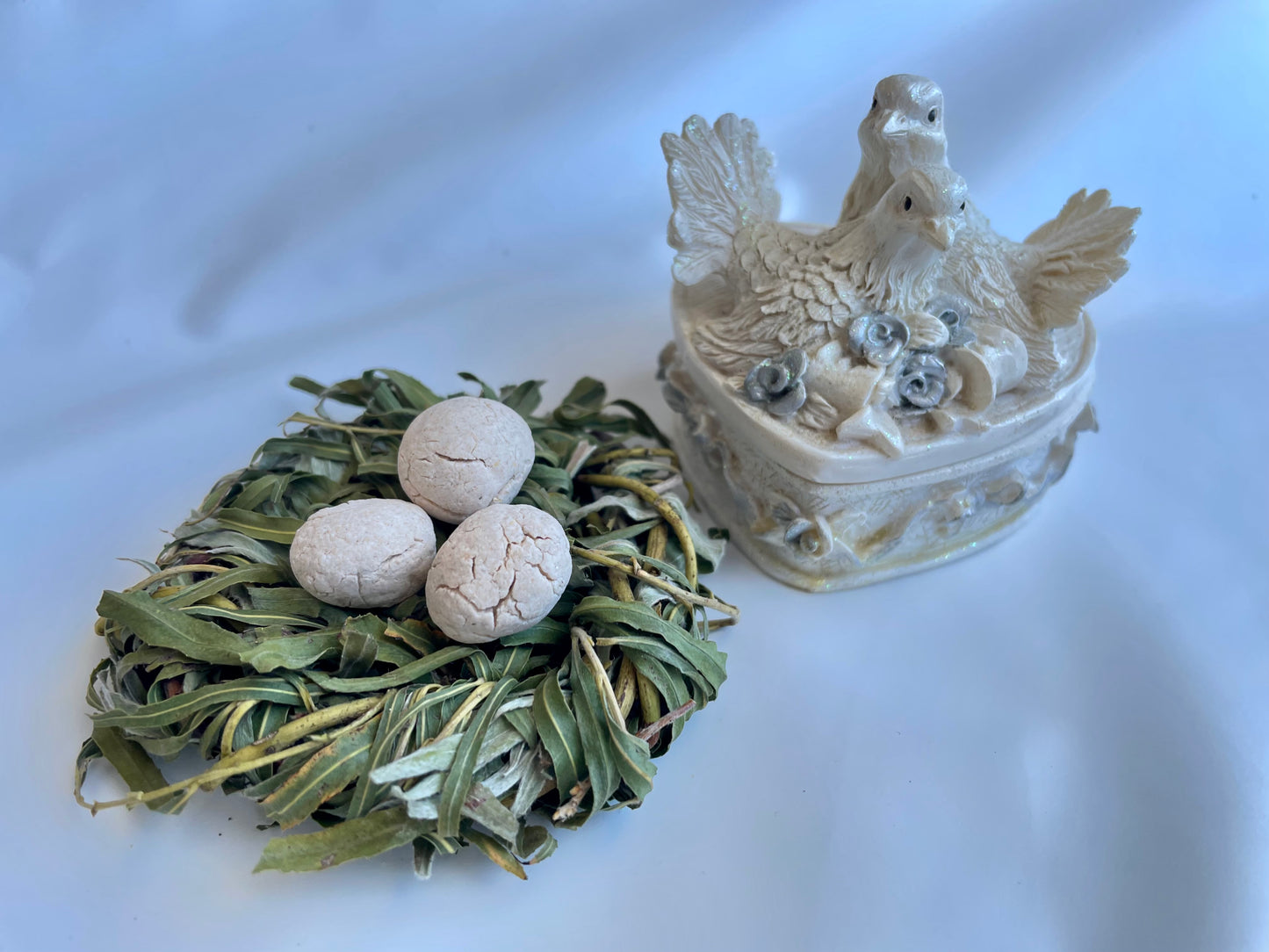 The bird nest