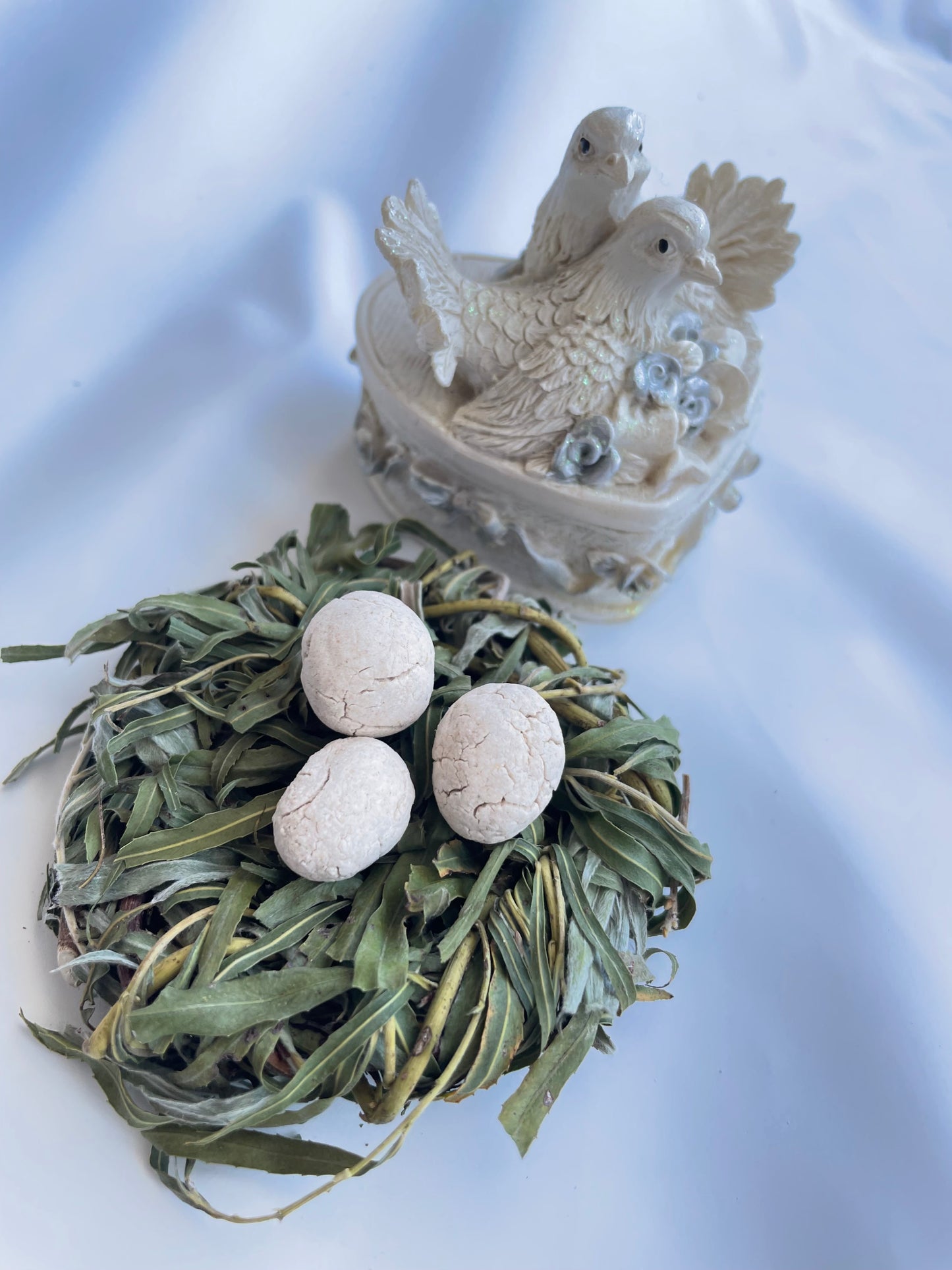 The bird nest