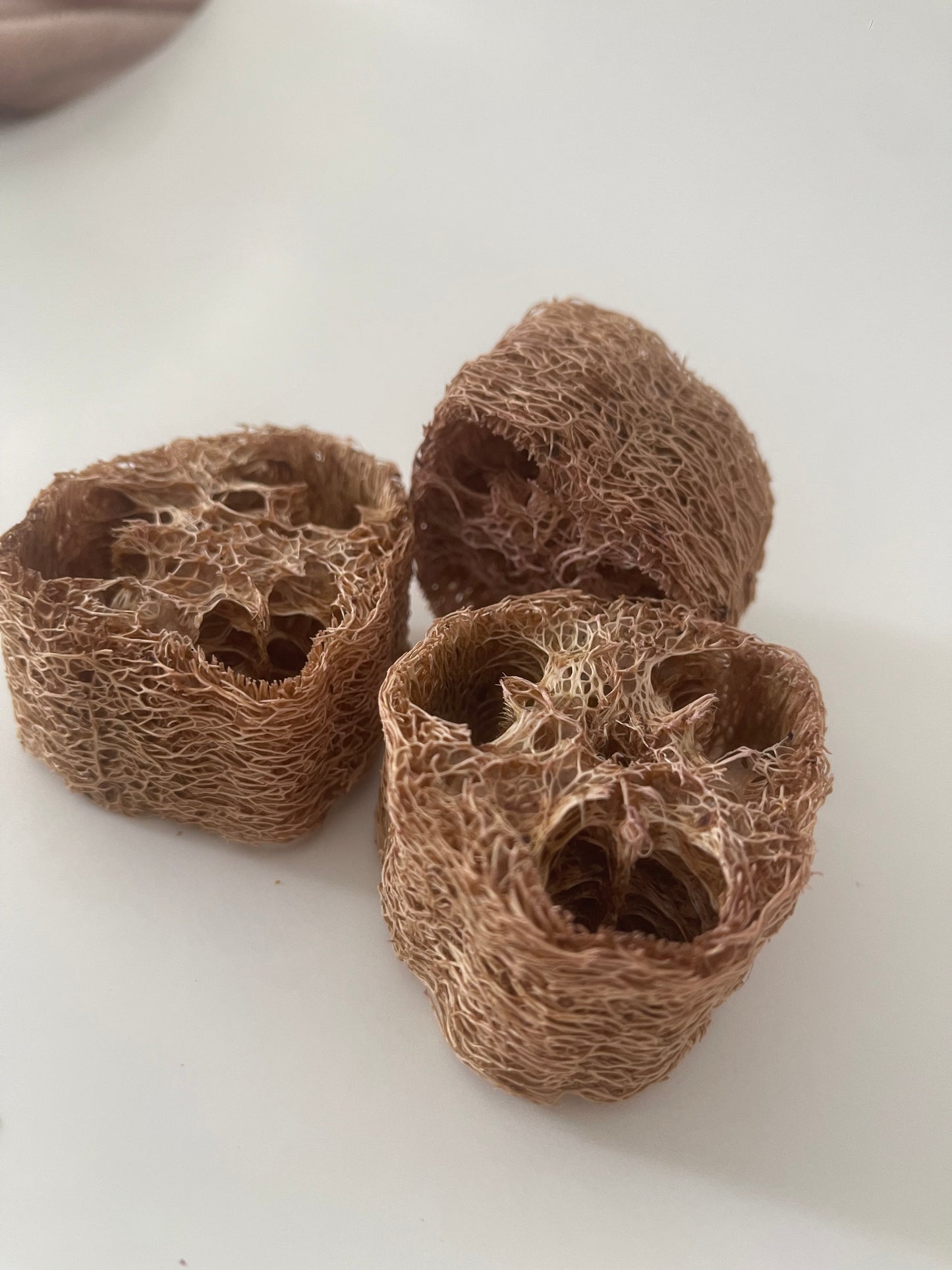GIANT Loofahs infused with natural fruits, vegetables, and flowers