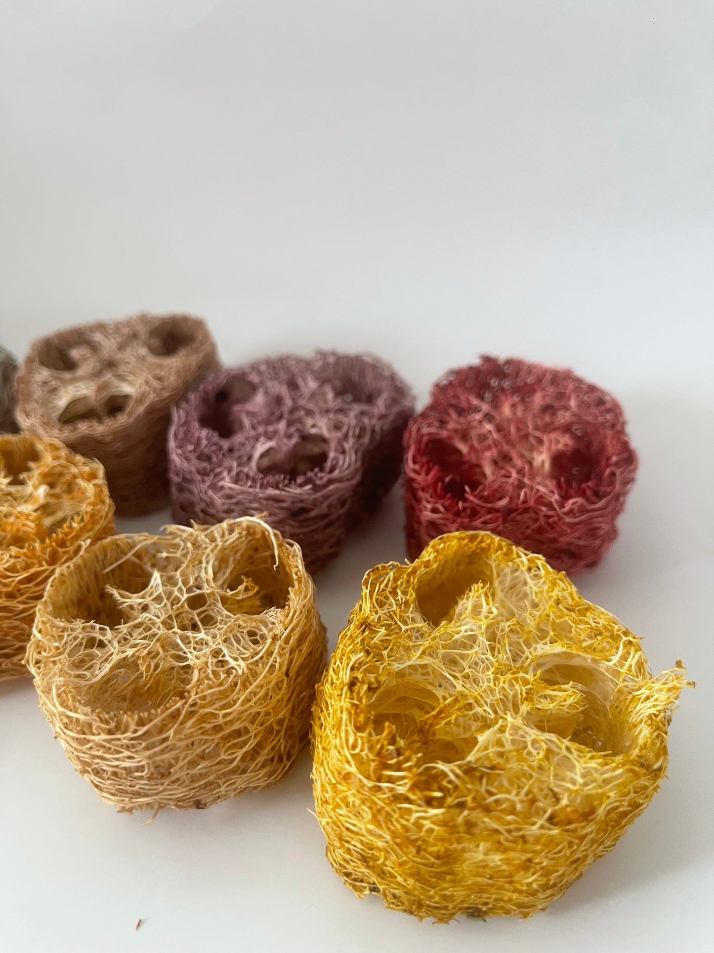 GIANT Loofahs infused with natural fruits, vegetables, and flowers