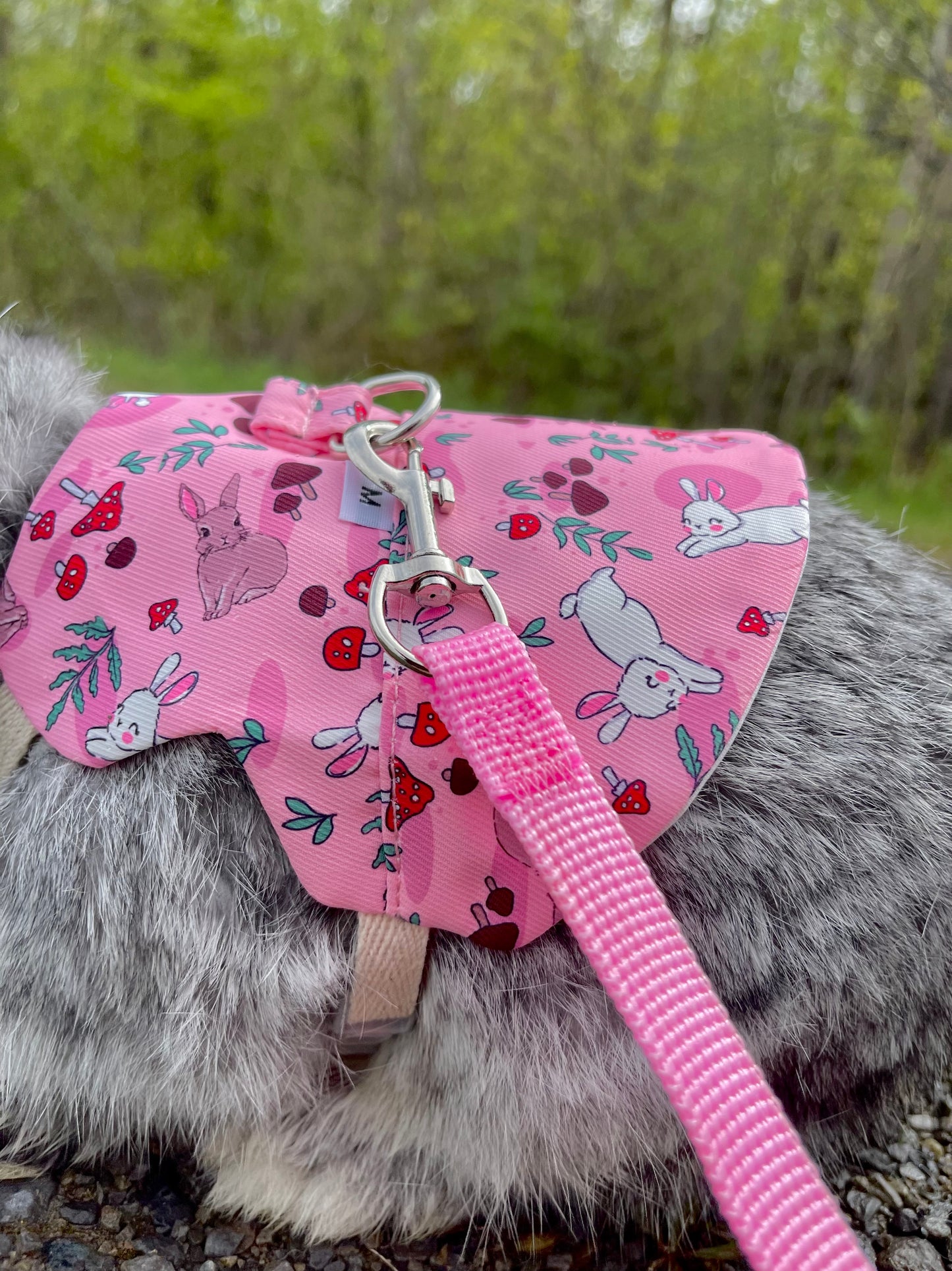 Bunny harness - walk in the forest
