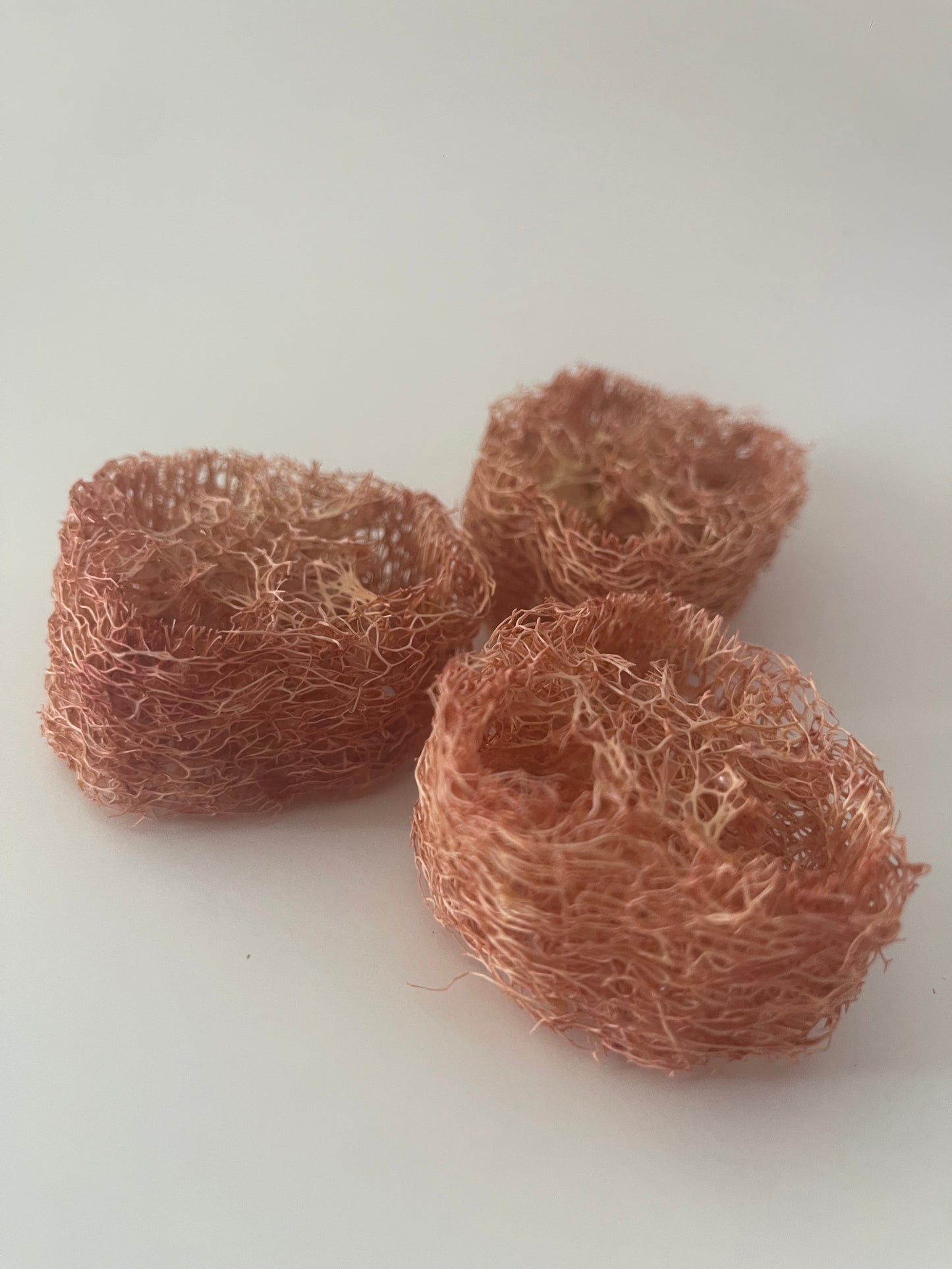 GIANT Loofahs infused with natural fruits, vegetables, and flowers