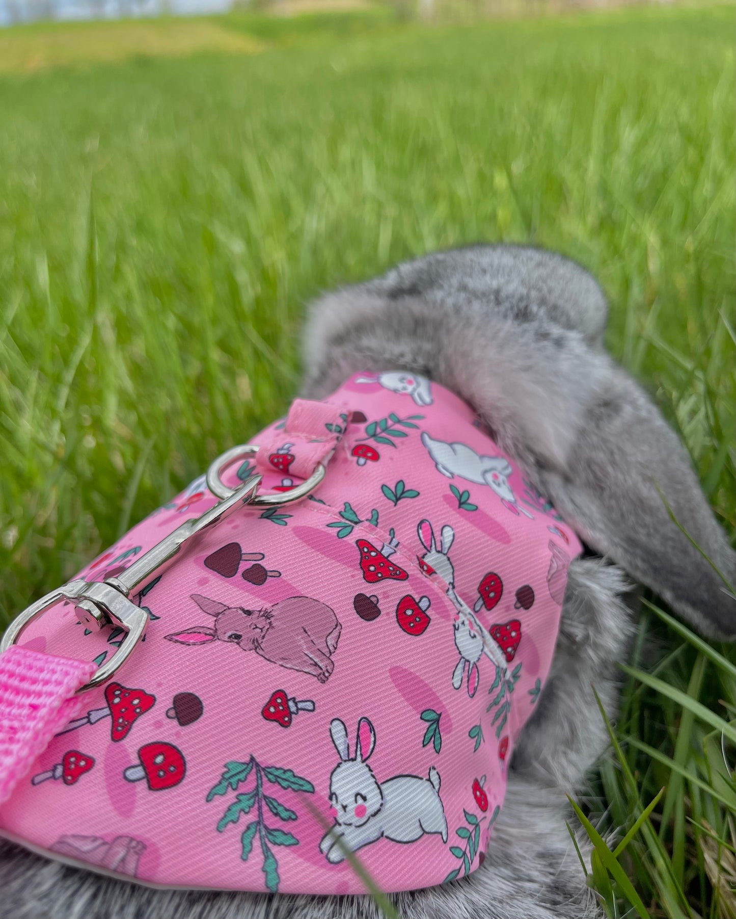 Bunny harness - walk in the forest