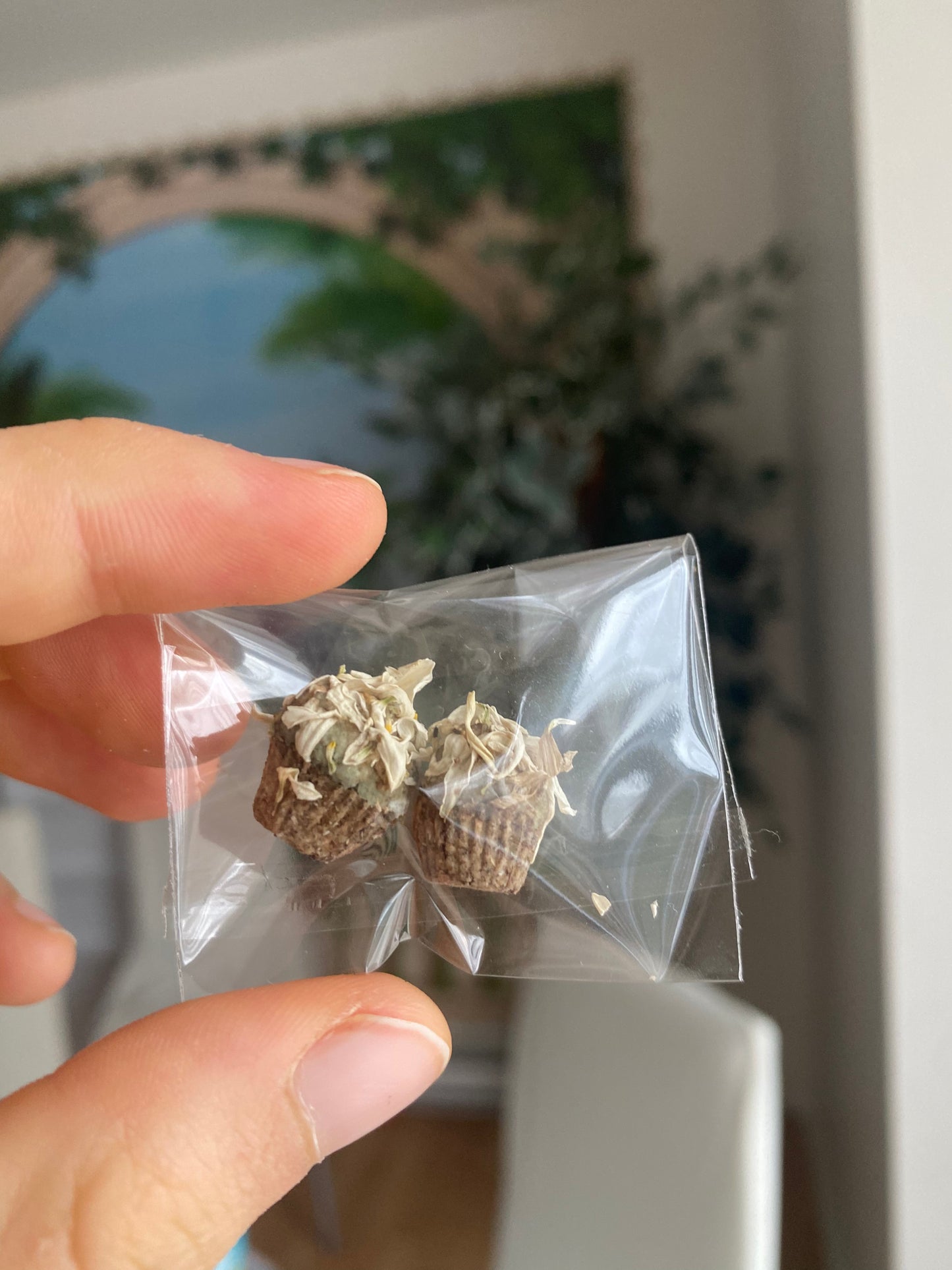 PRÉCOMMANDE | Calendrier de l'avent artisanal PERSONNALISÉ pour lapin 24 jours