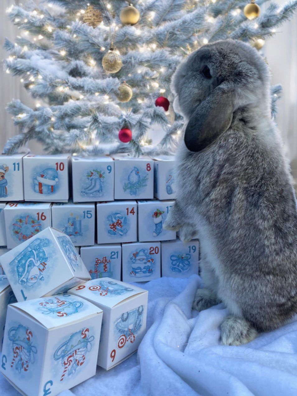 PRÉCOMMANDE | Calendrier de l'avent artisanal PERSONNALISÉ pour lapin 24 jours