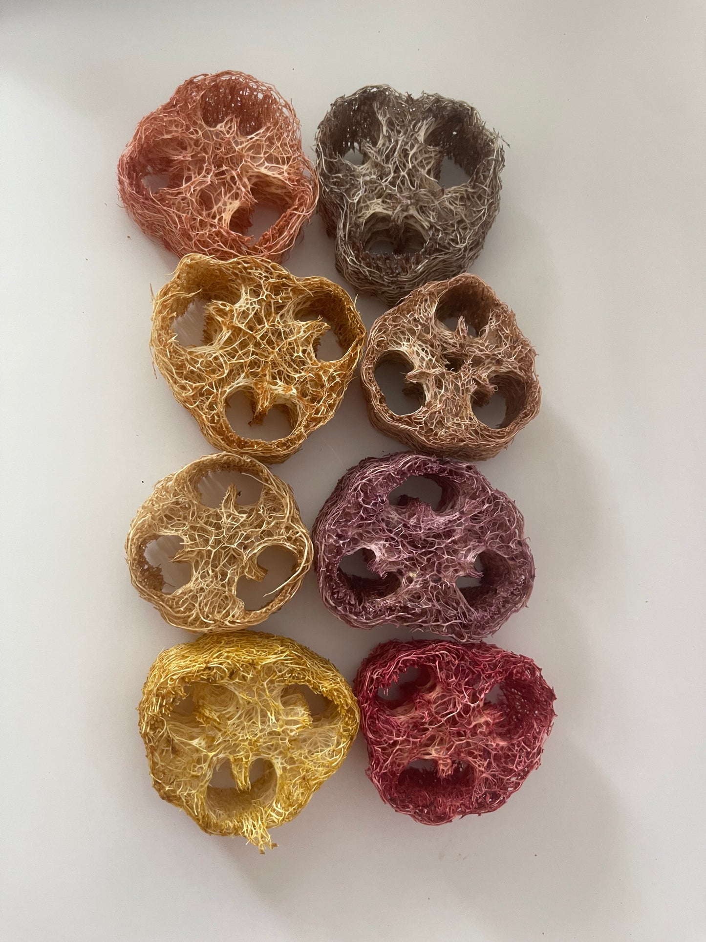 GIANT Loofahs infused with natural fruits, vegetables, and flowers