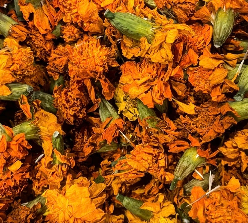 Fleurs de souci