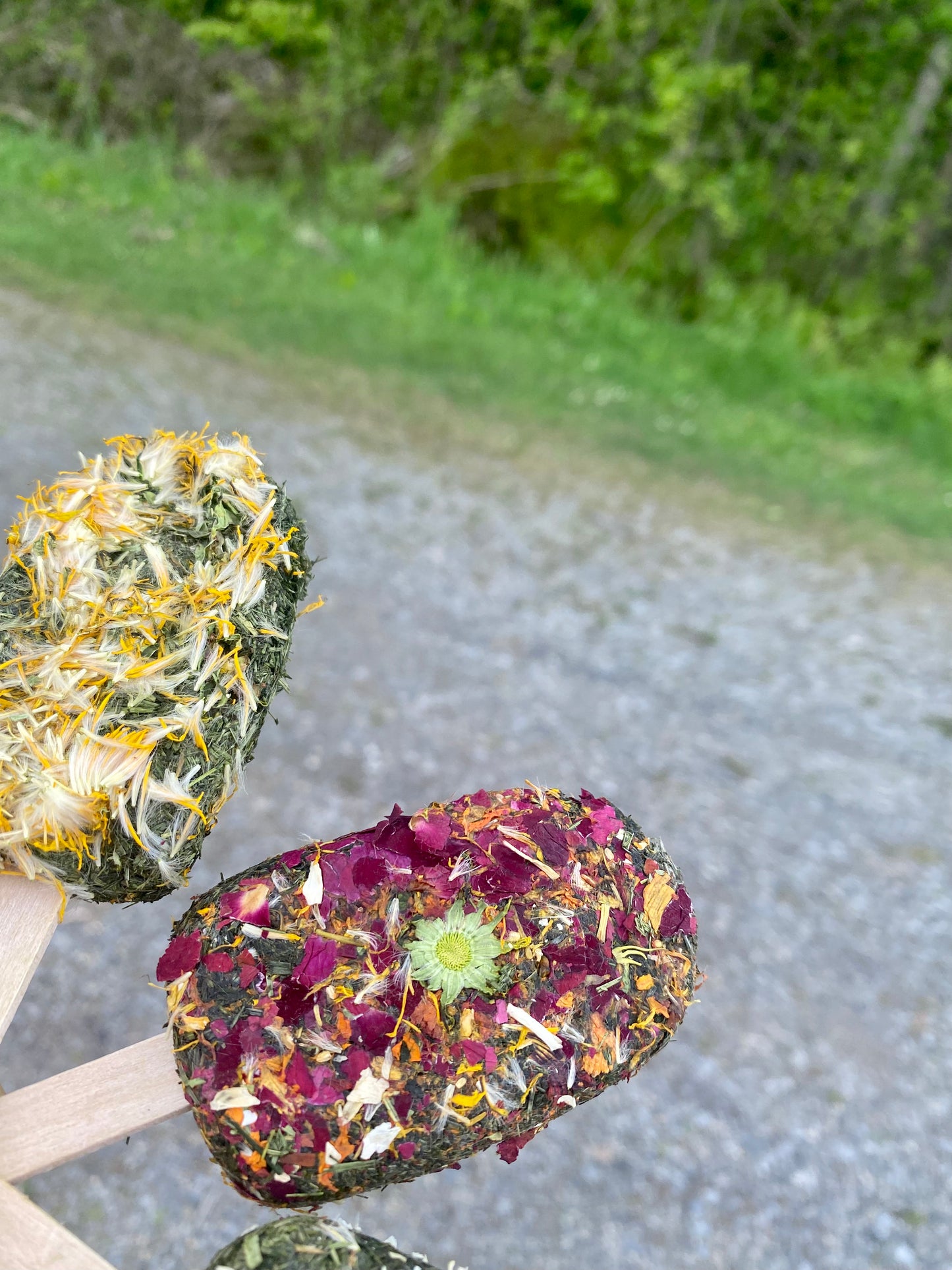 Gâteries crème glacée à l’herbe - Produit du Québec