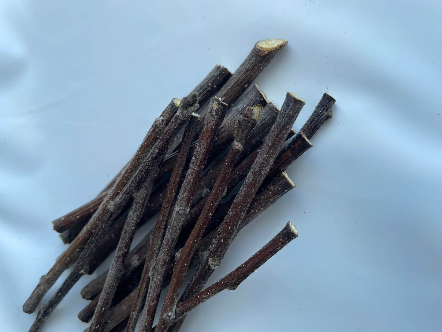 Branches de pommier naturelles - produit du Québec