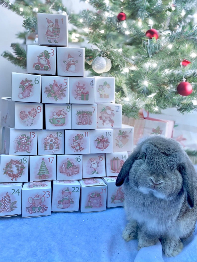 PRÉCOMMANDE | Calendrier de l'avent artisanal PERSONNALISÉ pour lapin 24 jours