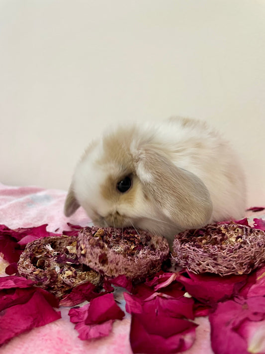 Banana and Rose Loofahs