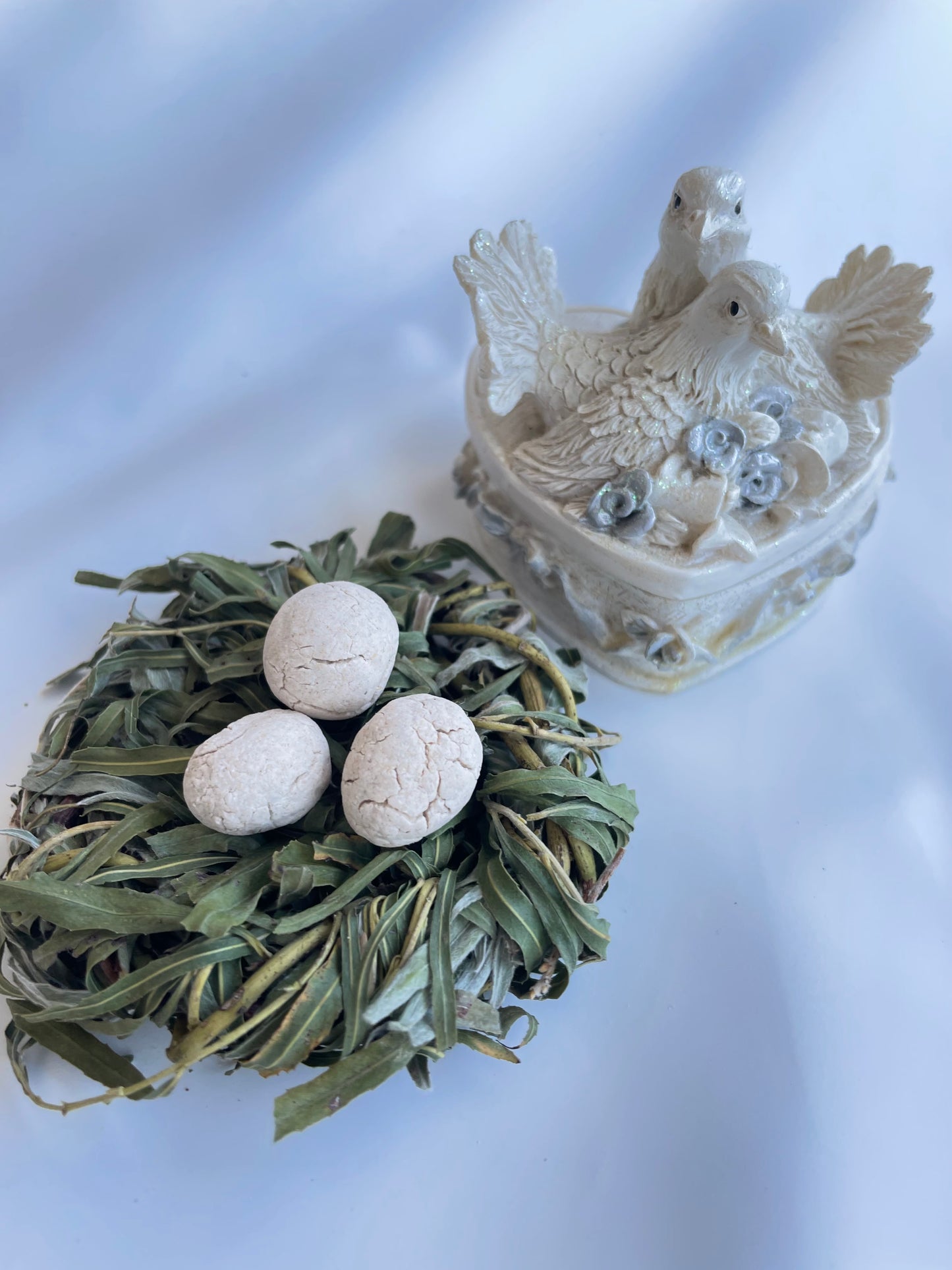 The bird nest