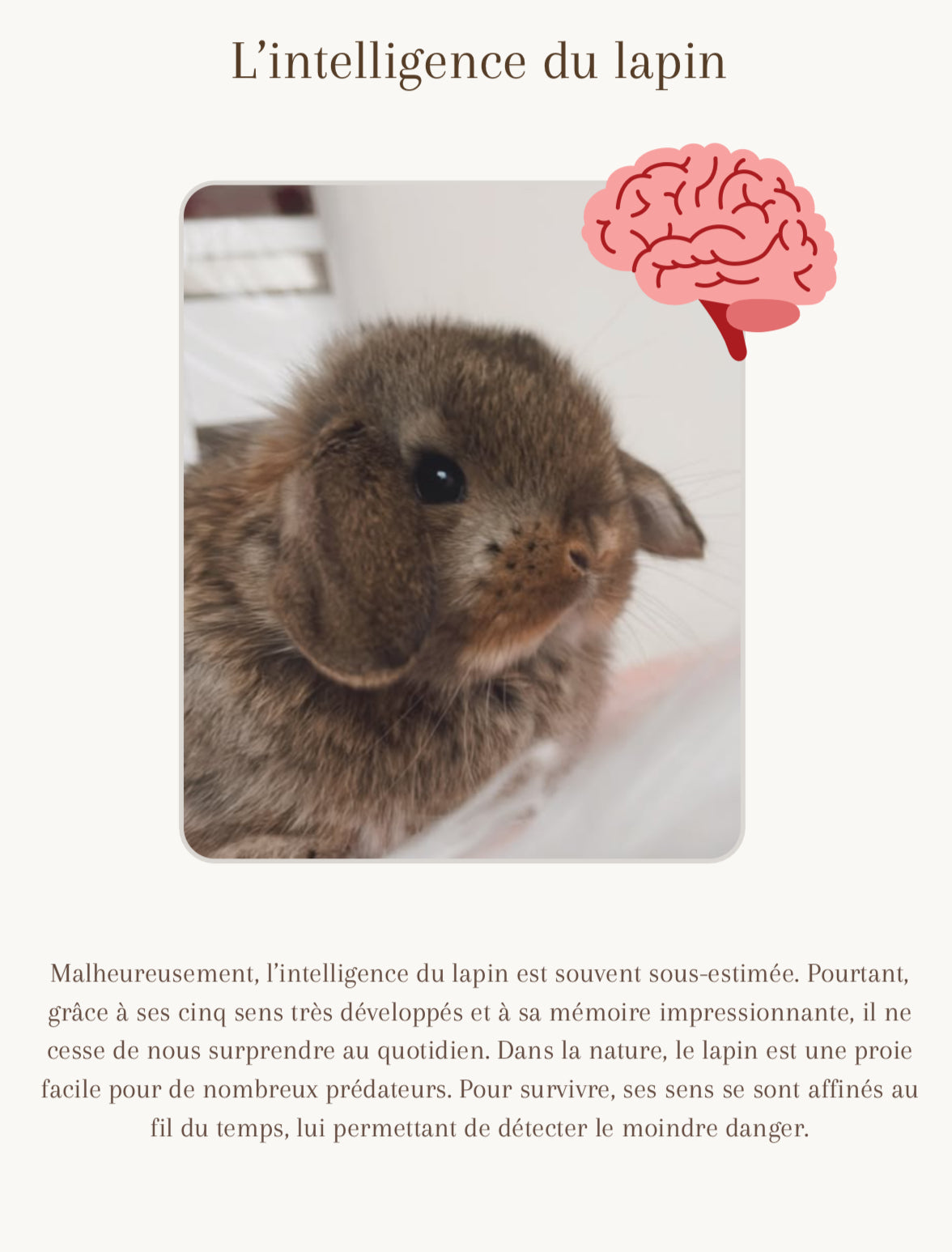 New Adopter's Guide