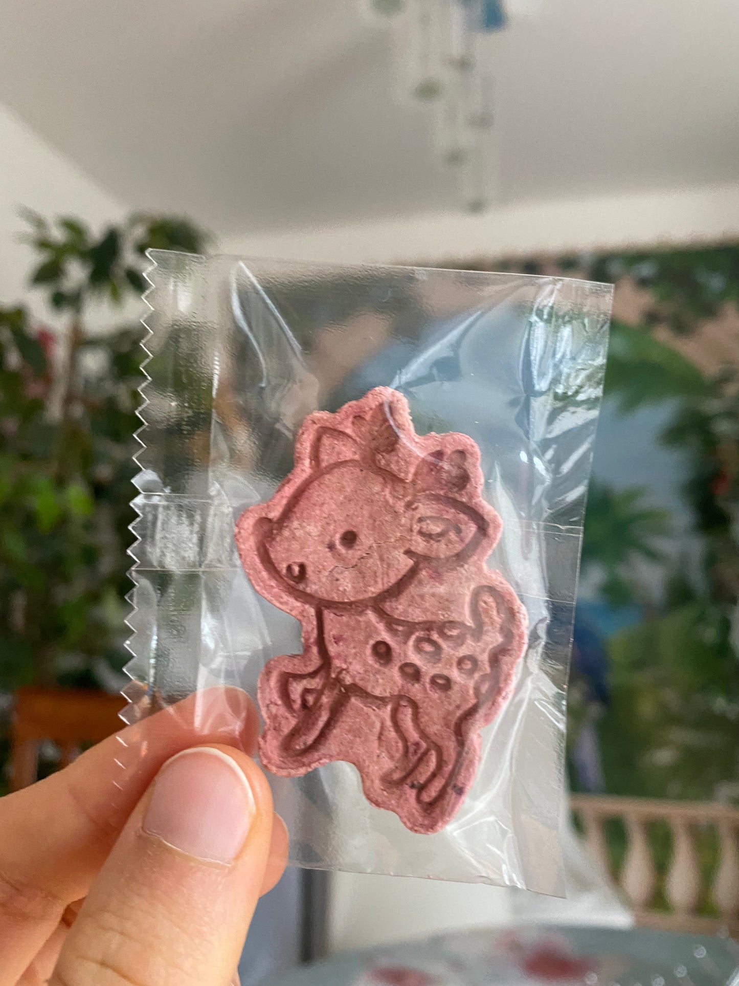 PRÉCOMMANDE | Calendrier de l'avent artisanal PERSONNALISÉ pour lapin 24 jours
