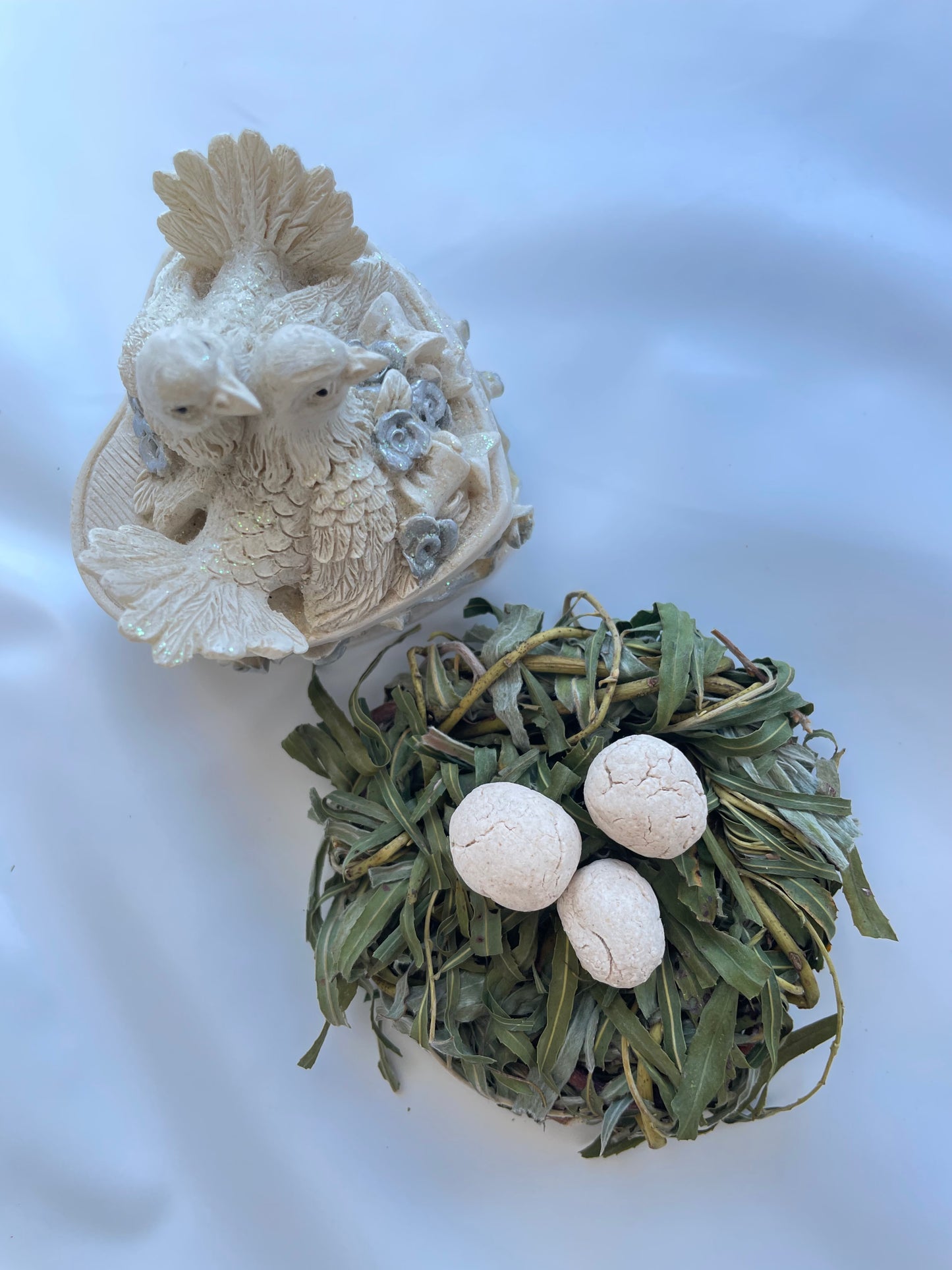 The bird nest