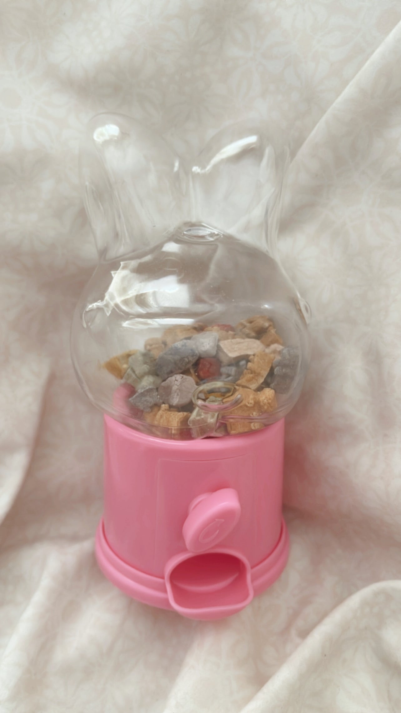 Treat dispenser + 50 multi-flavored gummies