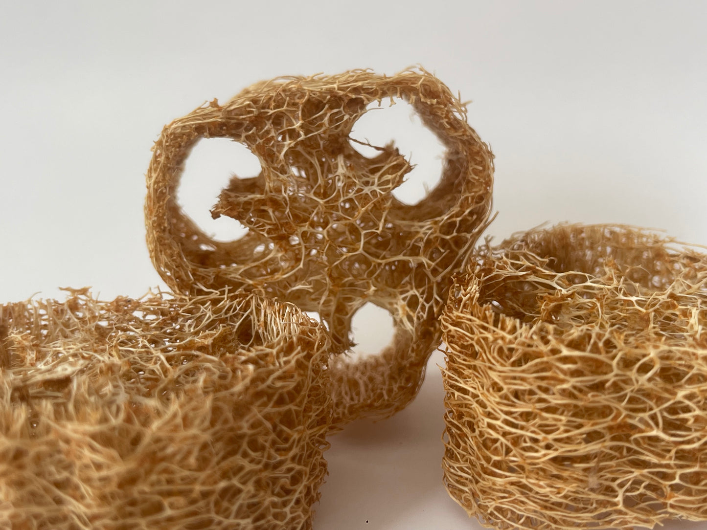 GIANT Loofahs infused with natural fruits, vegetables, and flowers