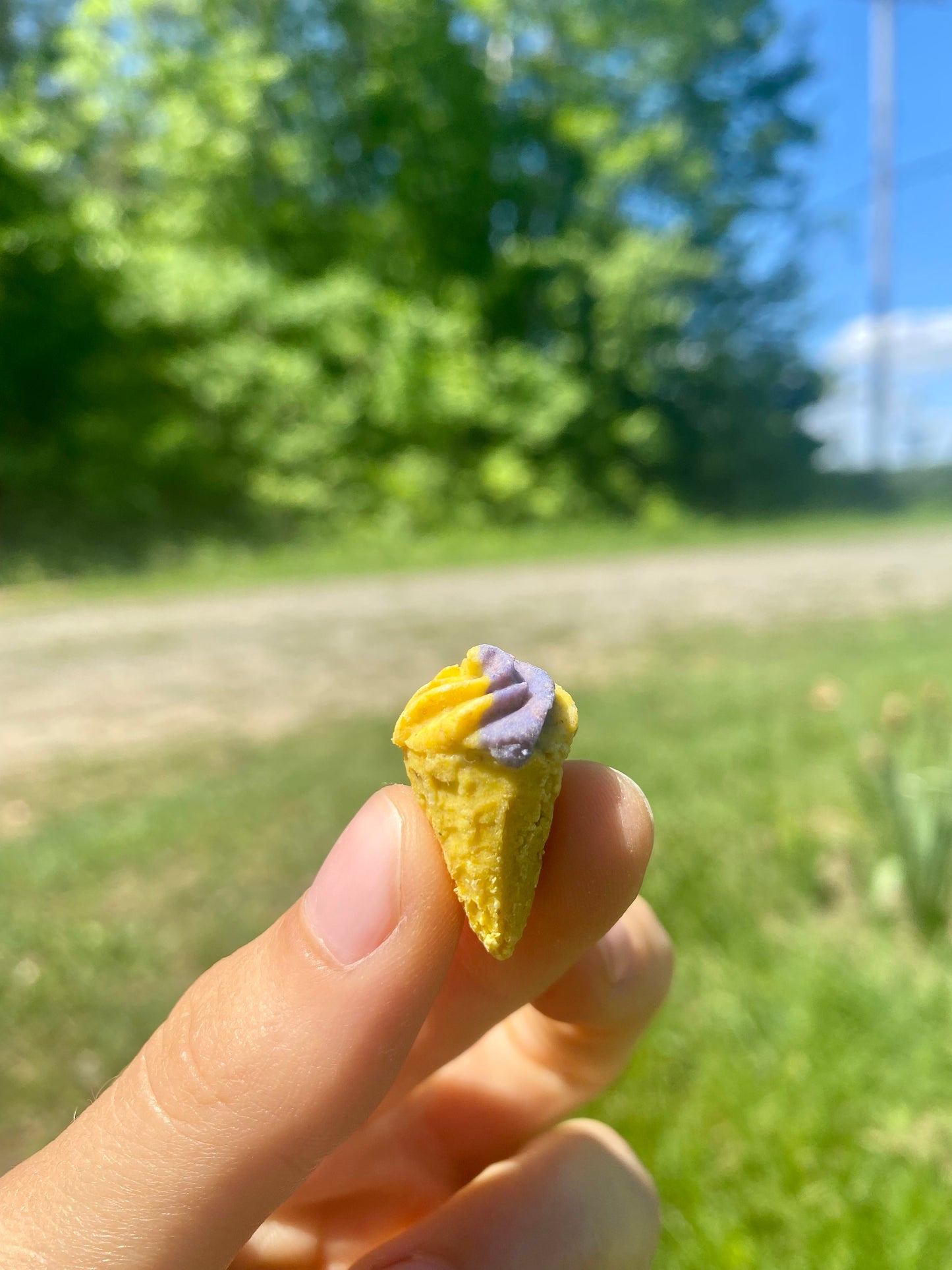 Friandises naturelles en forme de crème glacée