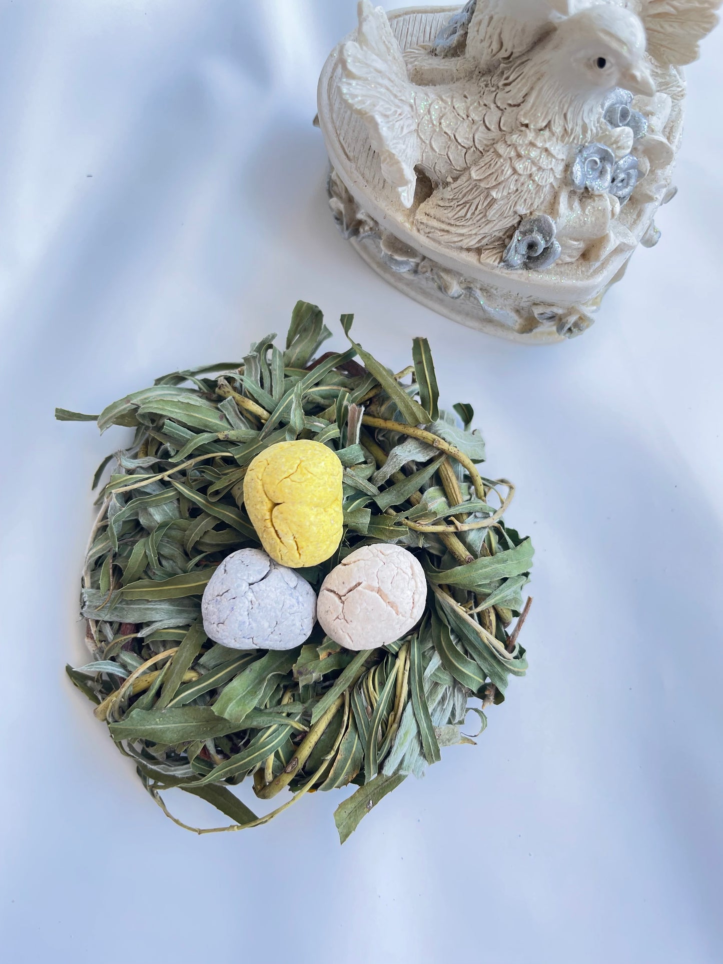 The bird nest