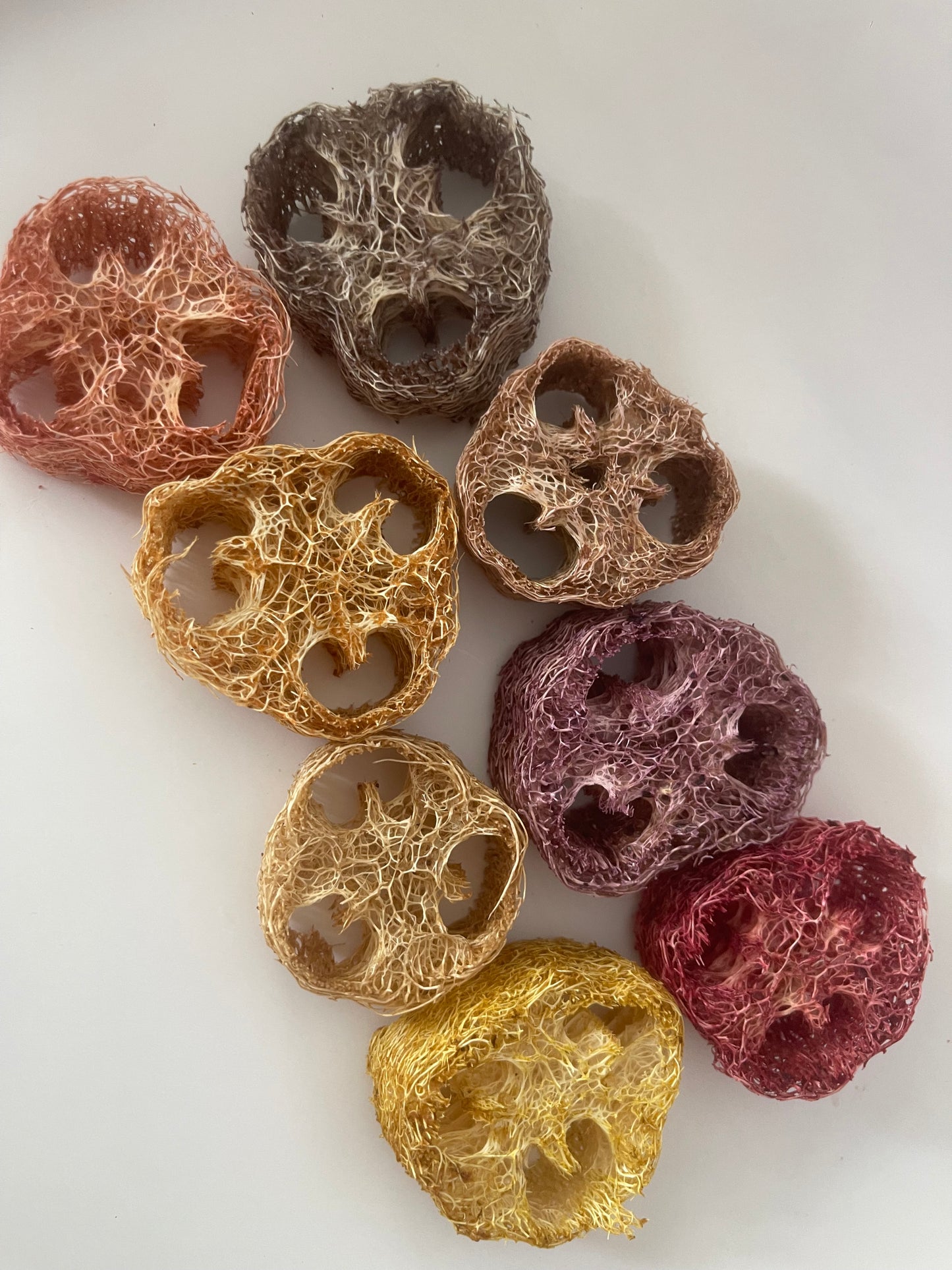 GIANT Loofahs infused with natural fruits, vegetables, and flowers
