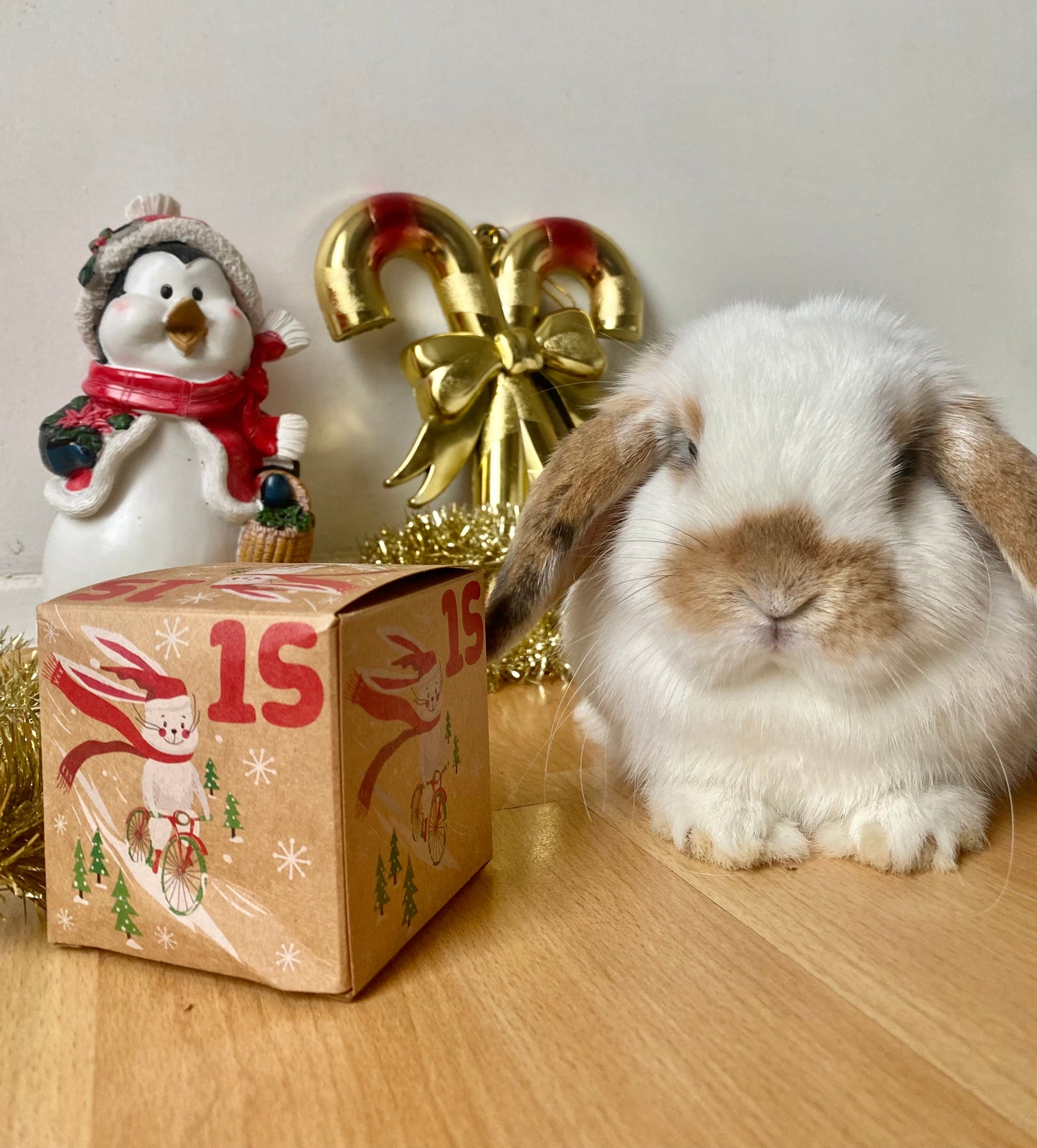 24 days of surprises - Handmade bunny advent calendar