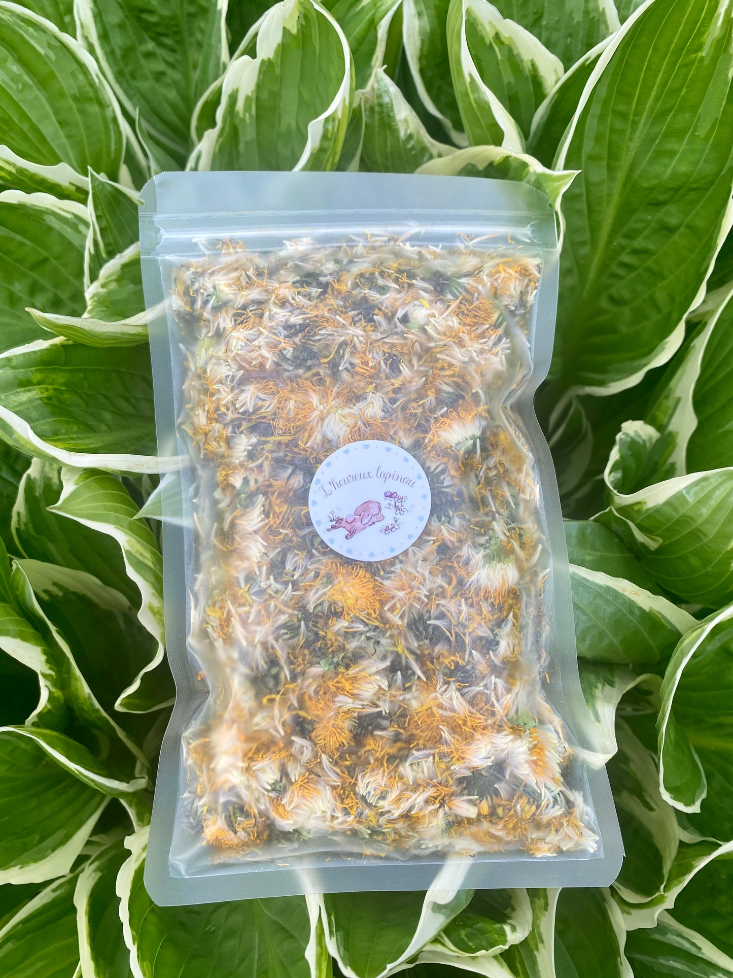 Dandelion flowers 100% natural - Product of Quebec