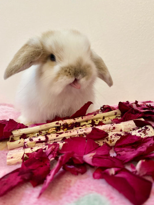 Banana and Rose Bamboo Chew Sticks