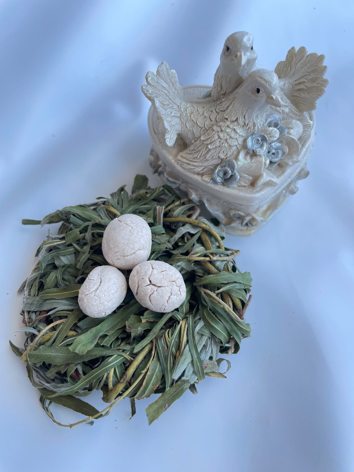 The bird nest