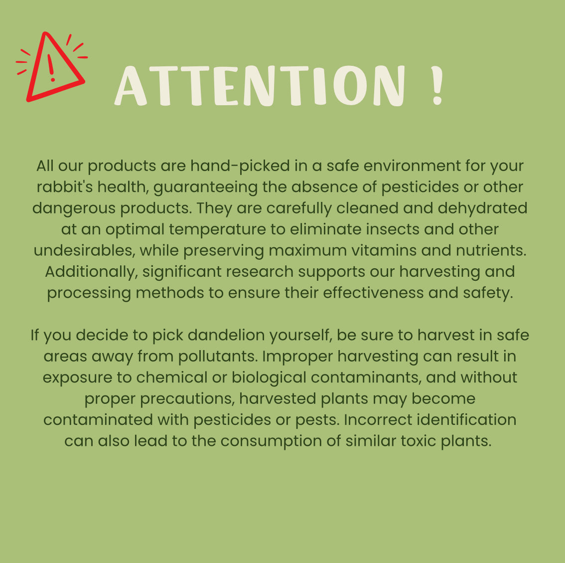 Racines de pissenlit 100% naturelles - Produit du Québec