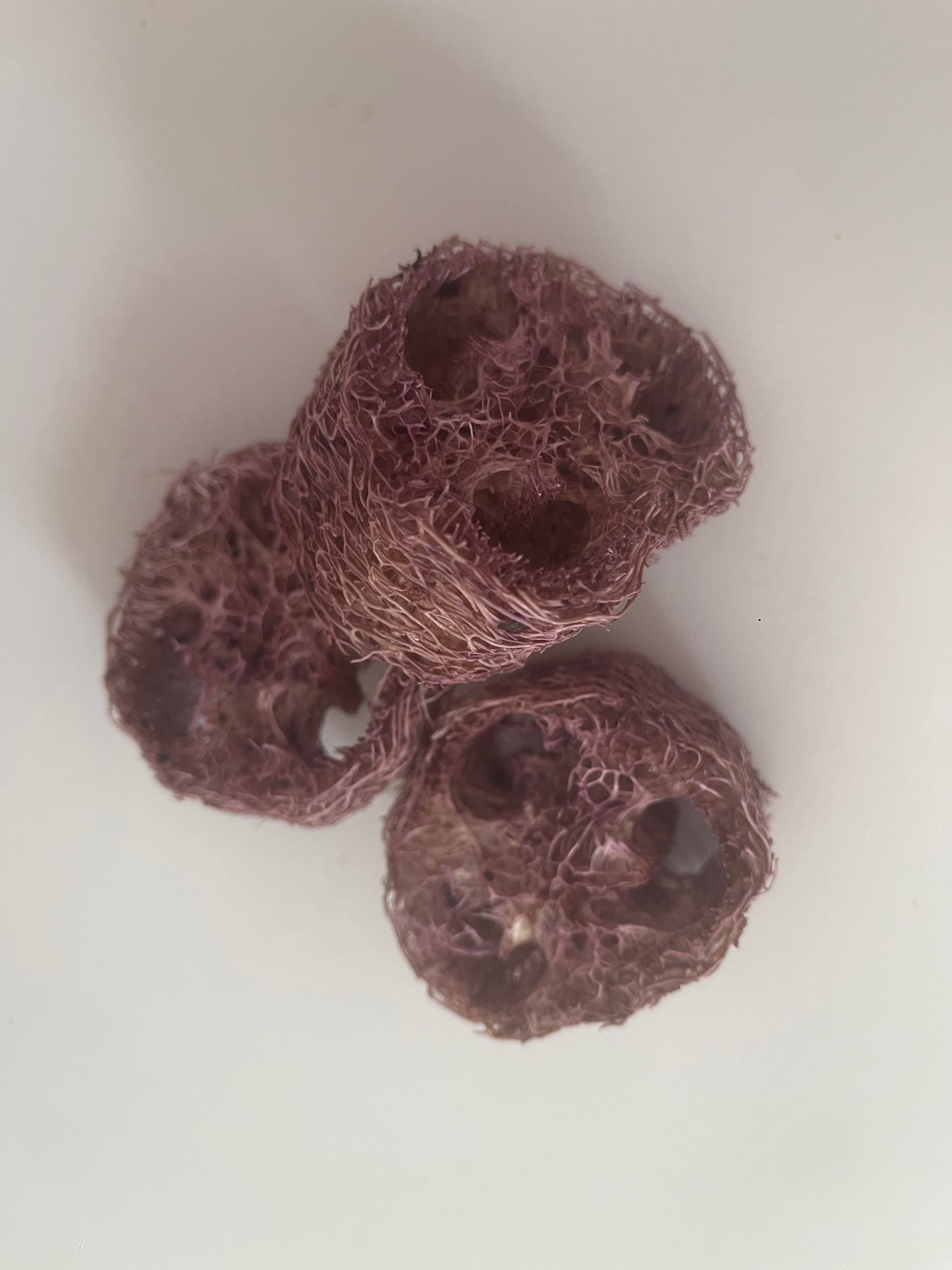 GIANT Loofahs infused with natural fruits, vegetables, and flowers