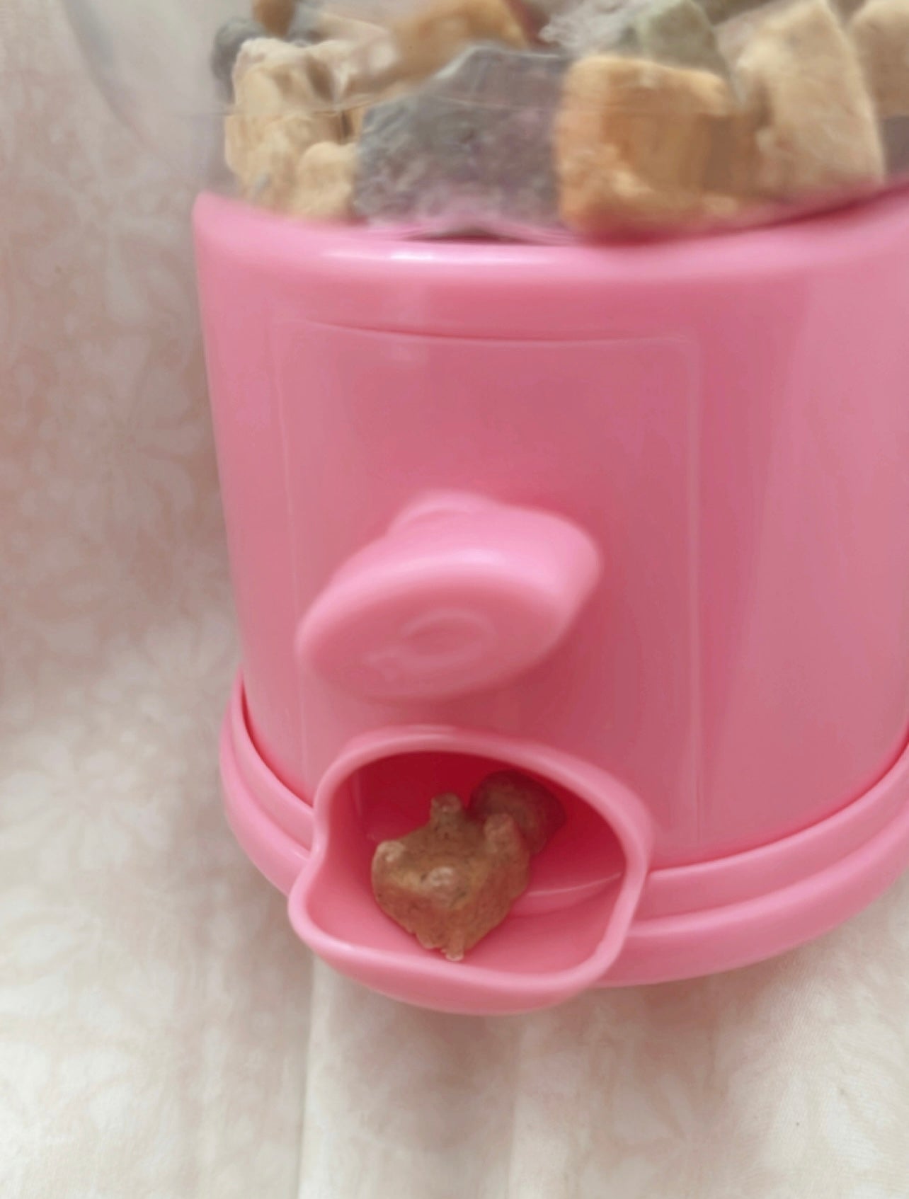 Treat dispenser + 50 multi-flavored gummies