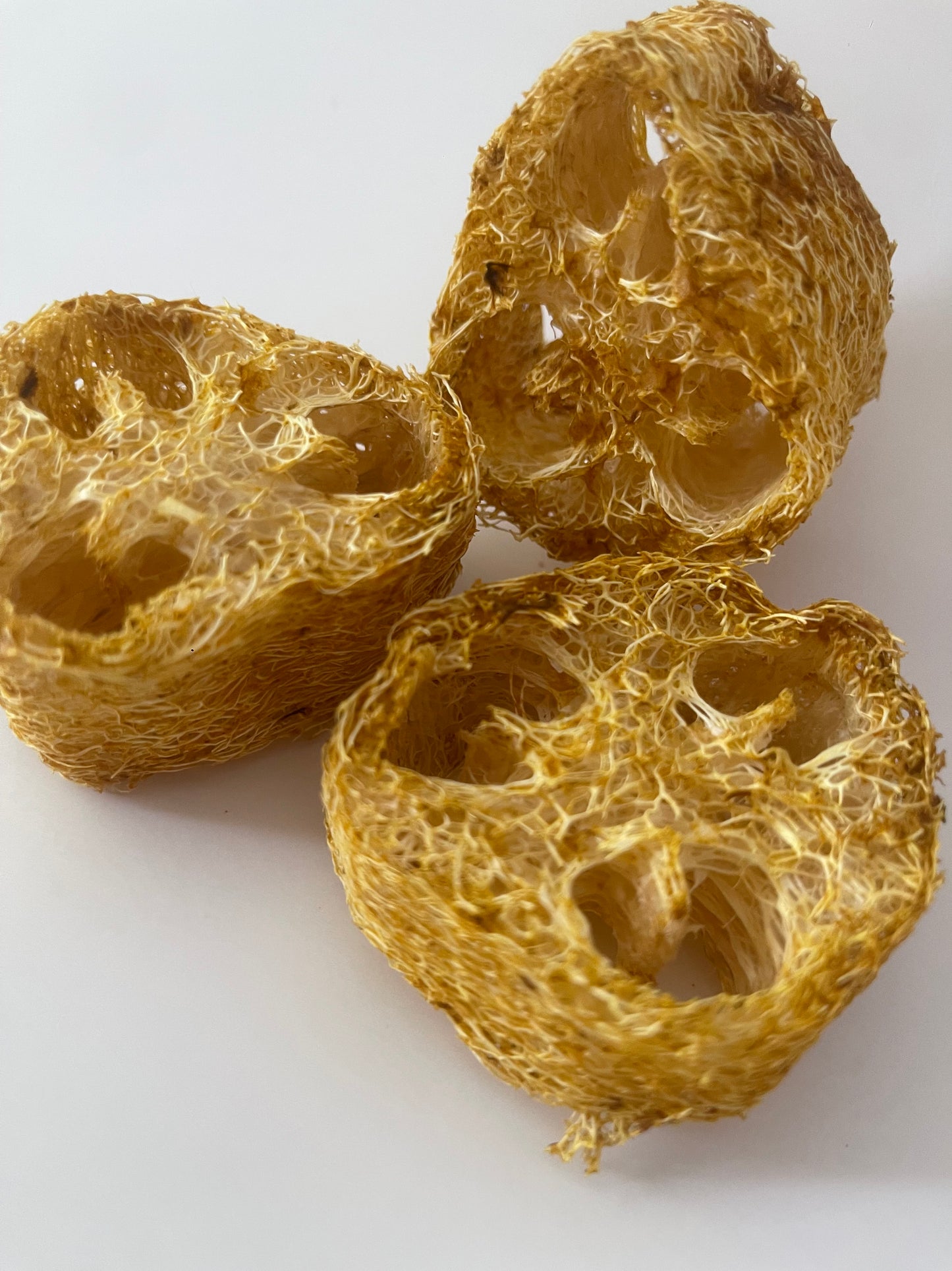 GIANT Loofahs infused with natural fruits, vegetables, and flowers
