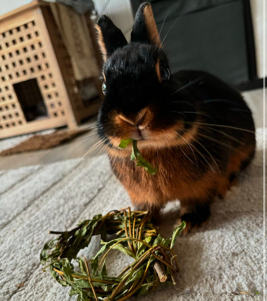 Anneau tissé à la main en saule