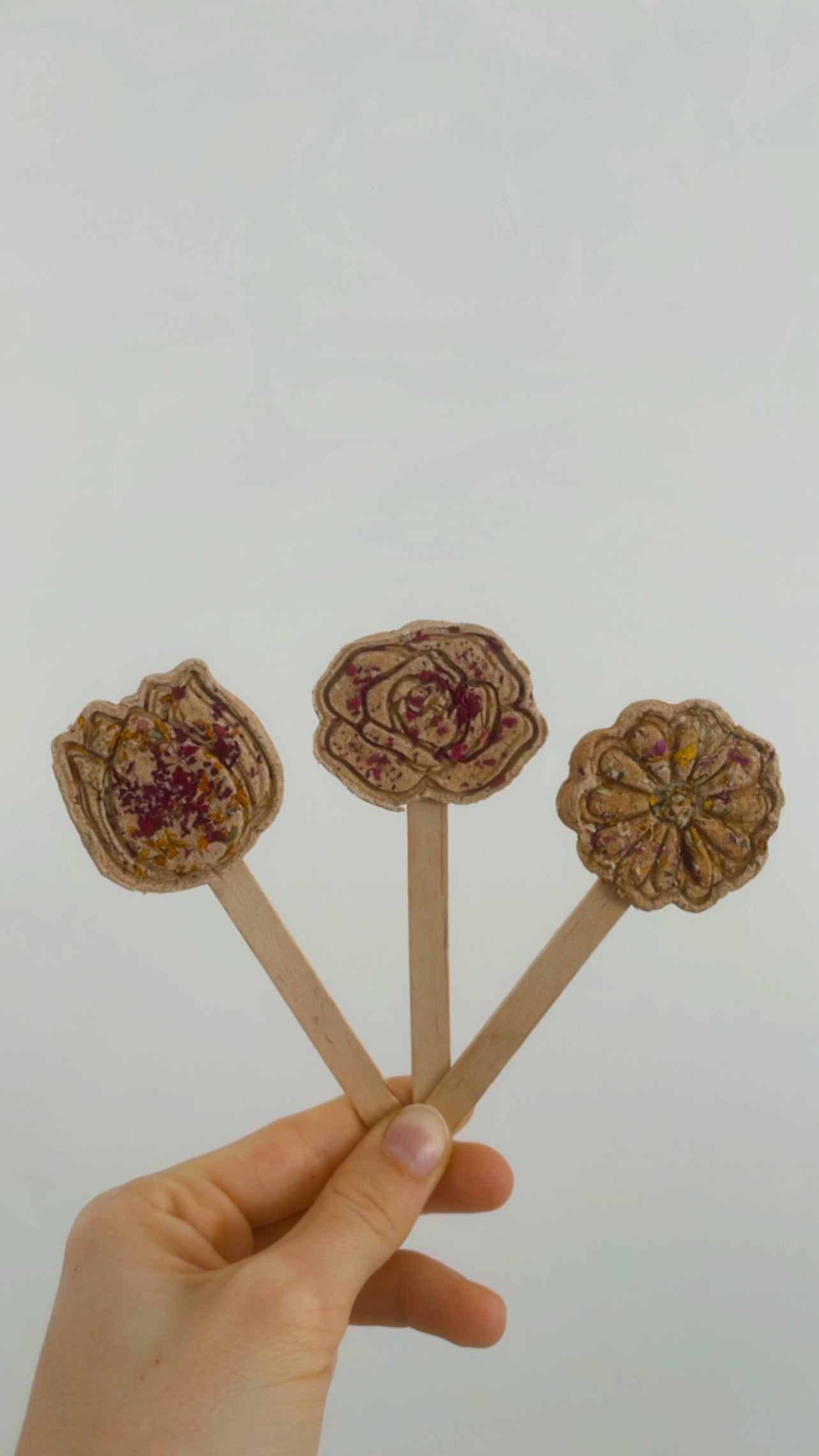 Flower Lollipops (trio)