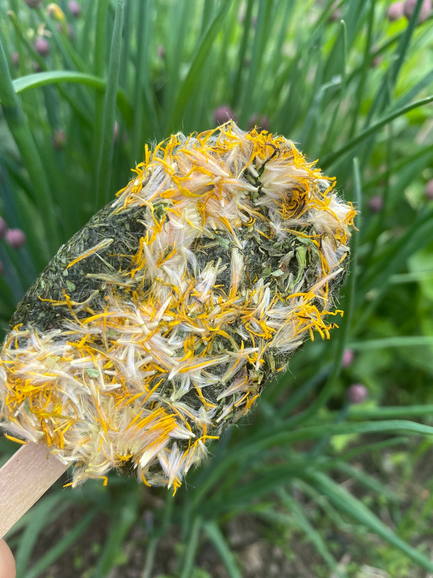 Gâteries crème glacée à l’herbe - Produit du Québec