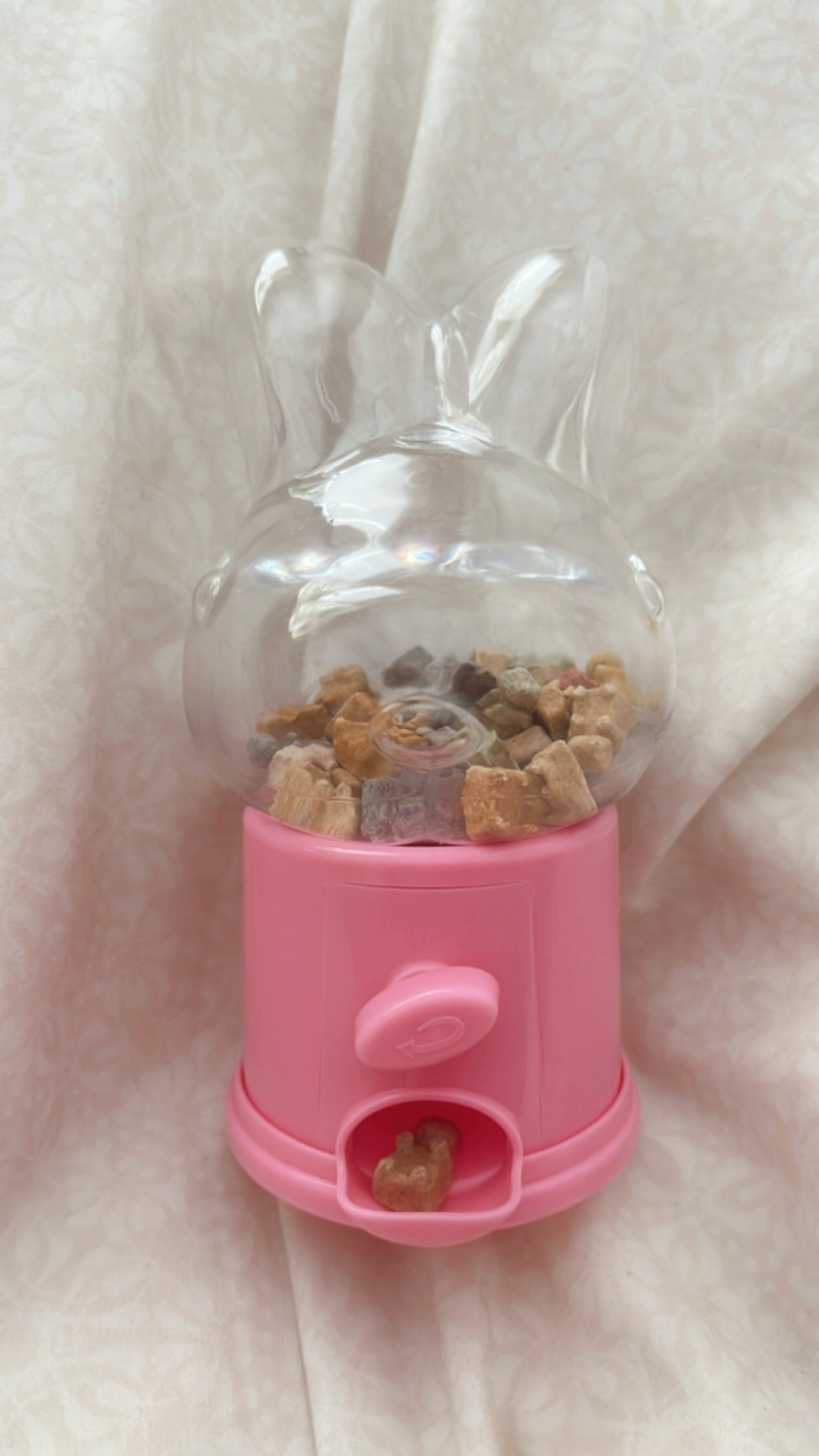 Treat dispenser + 50 multi-flavored gummies