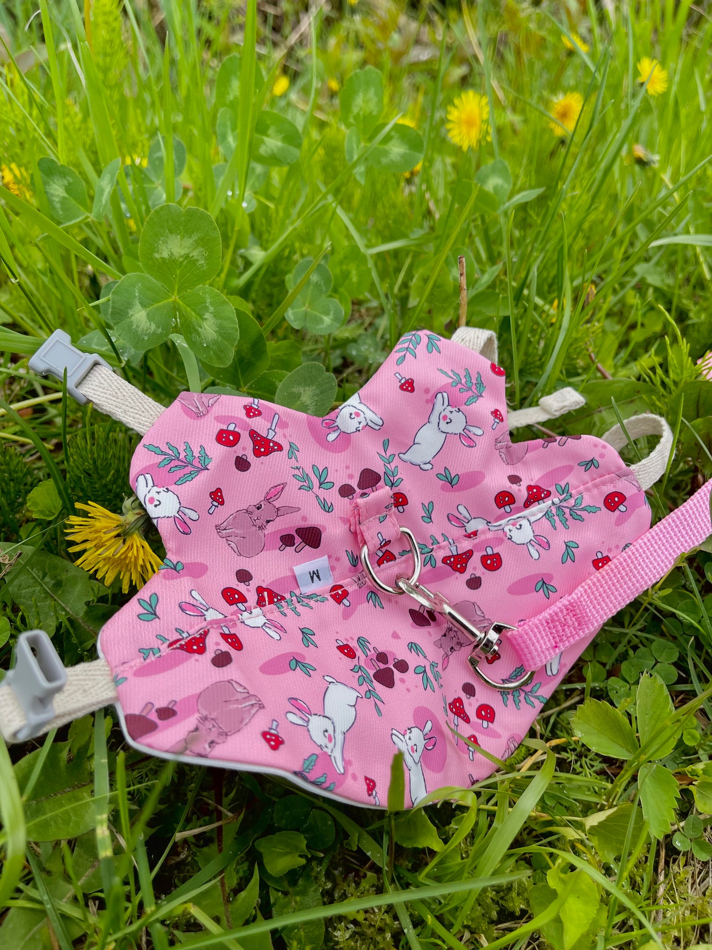 Bunny harness - walk in the forest