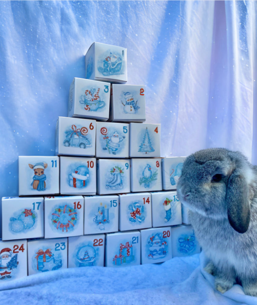 PRÉCOMMANDE | Calendrier de l'avent artisanal PERSONNALISÉ pour lapin 24 jours