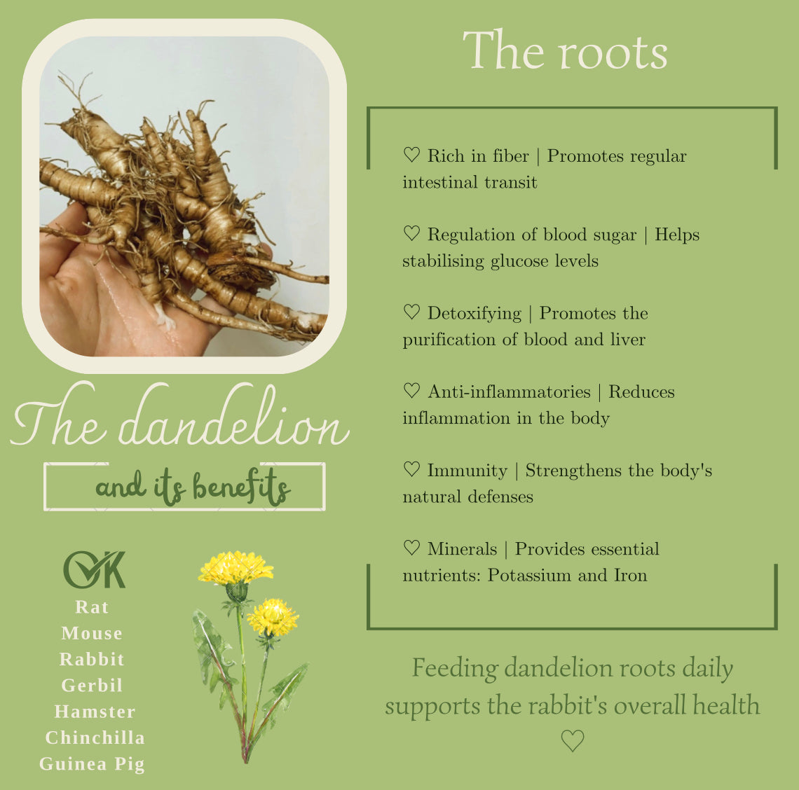 Racines de pissenlit 100% naturelles - Produit du Québec