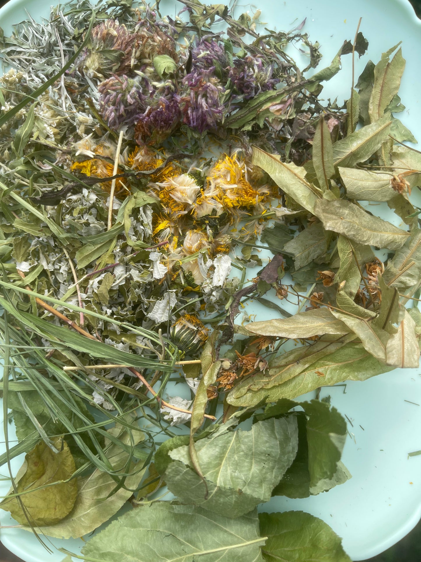 Mix digestif herbes du Québec