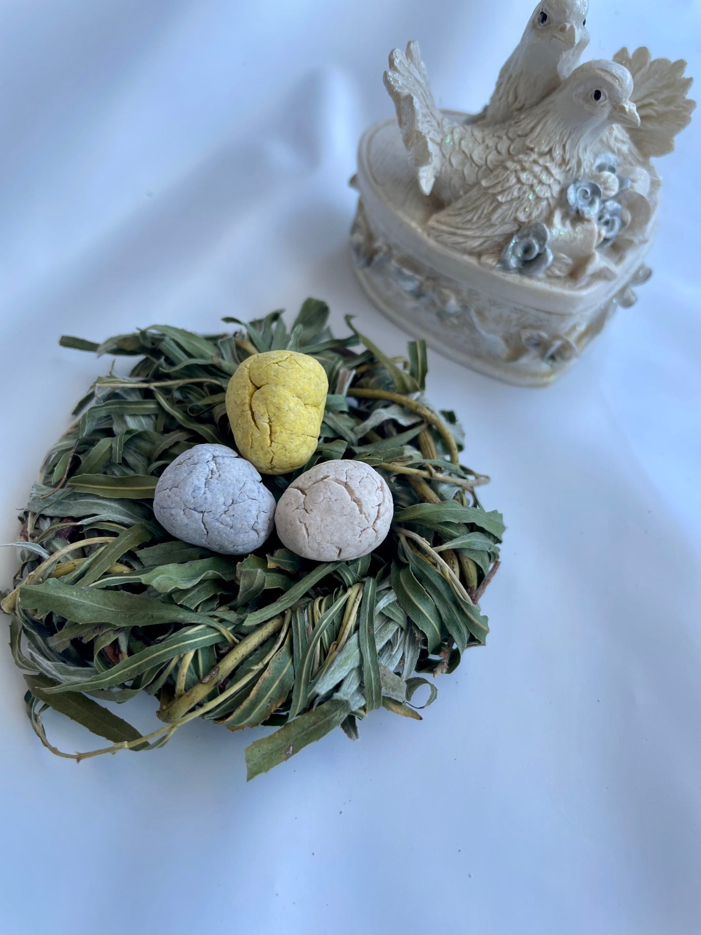 The bird nest