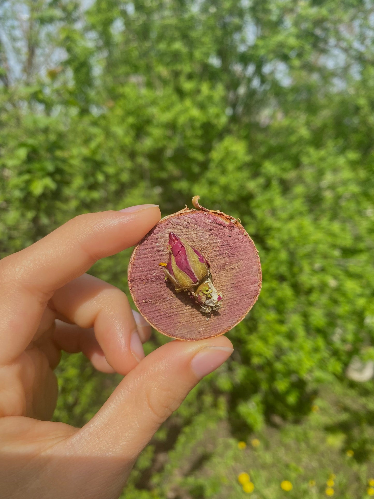 Victorian style - natural wooden treats