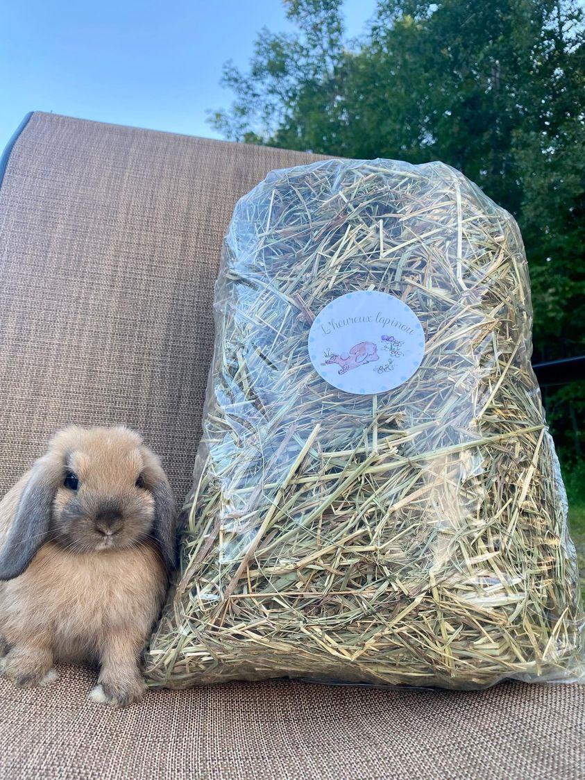 Organic and fresh hay. Very crunchy !