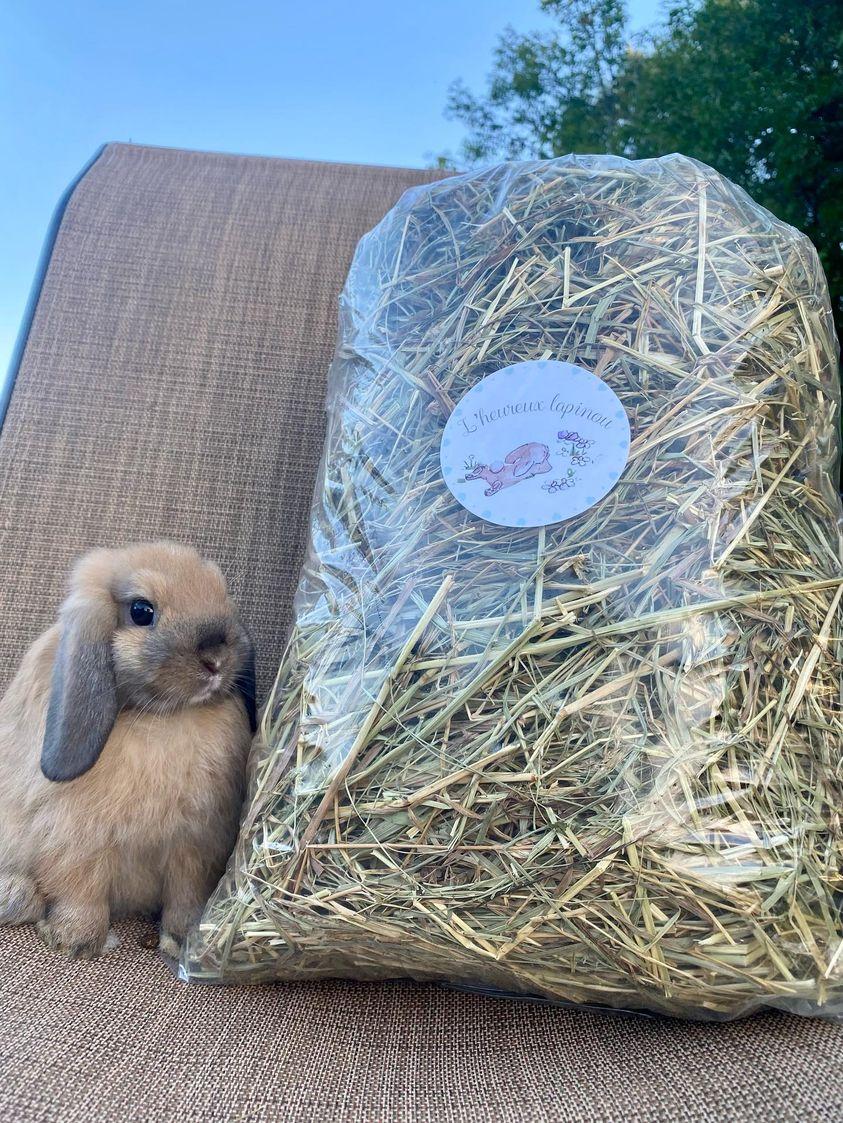 Organic and fresh hay. Very crunchy !