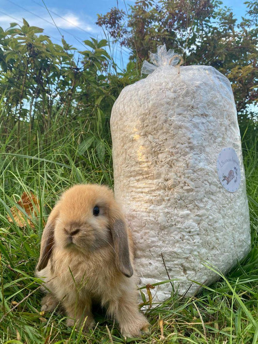 White Paper Litter - Comfort and Softness