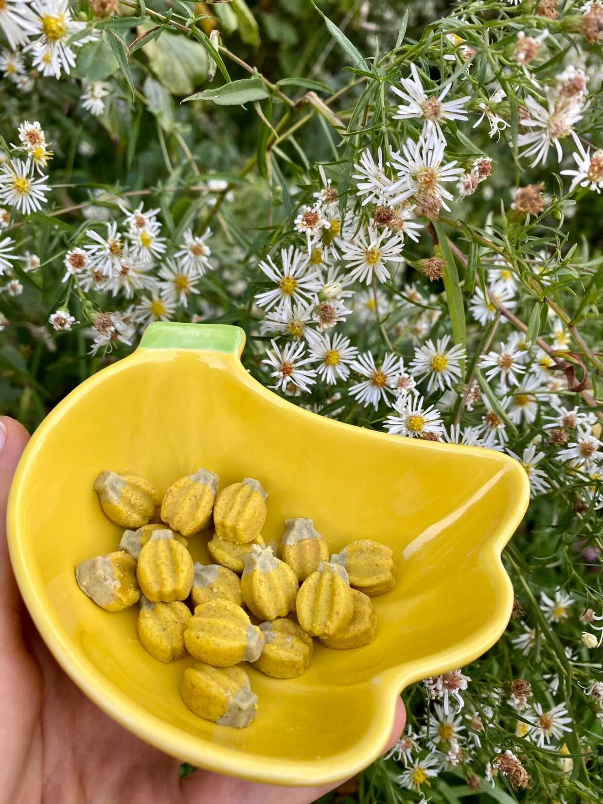 Banana bites 🍌 organic treats