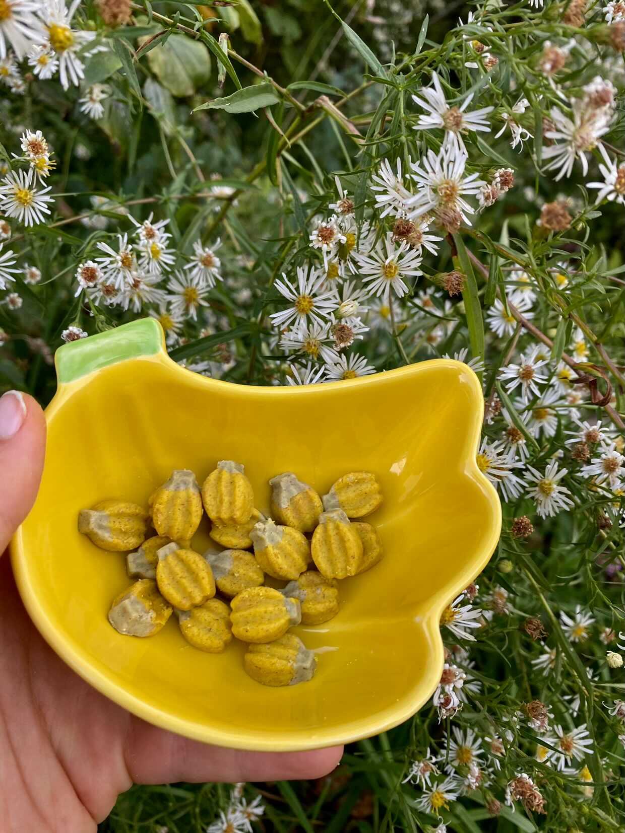 Banana bites 🍌 organic treats